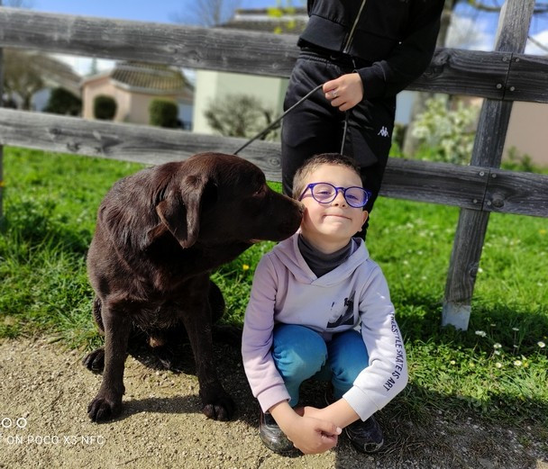 Turbo Of evergreen oak